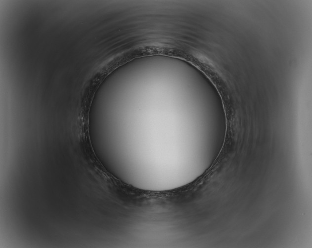 X0000089400822200706291405