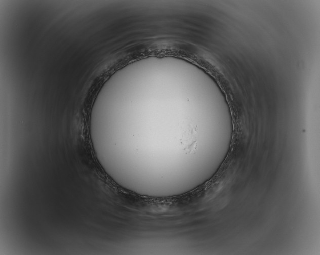 X0000089400823200706291405