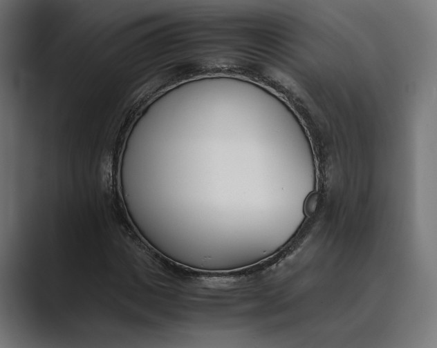 X0000089400825200706291405