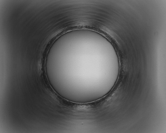 X0000089400826200706291405