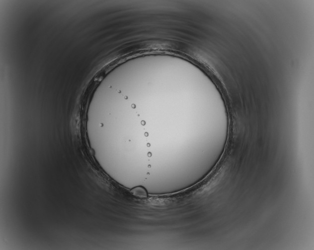 X0000089400827200706291405