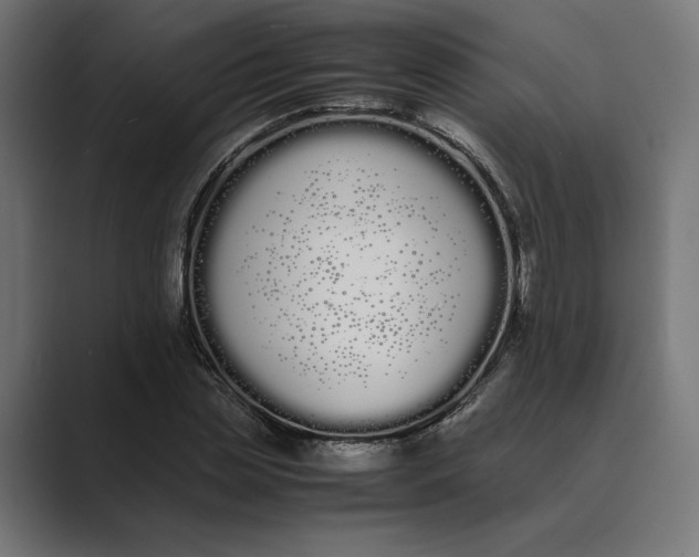 X0000089400829200706291405