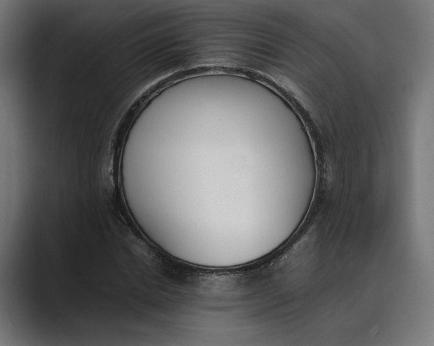 X0000089400830200706291405