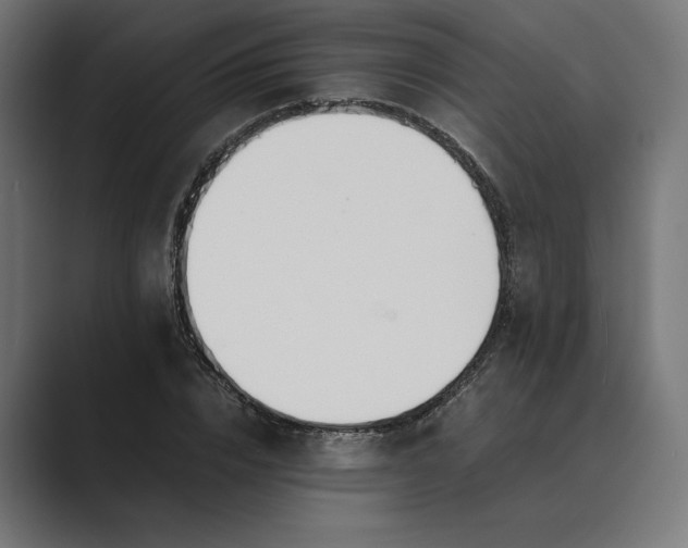 X0000089400832200706291405