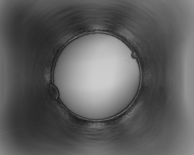 X0000089400833200706291405