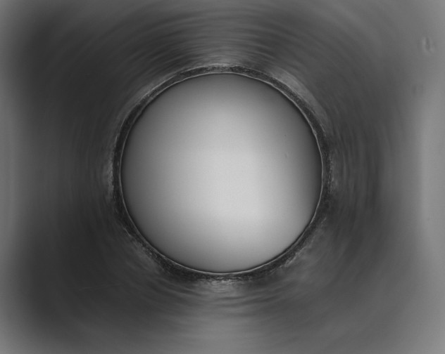 X0000089400834200706291406