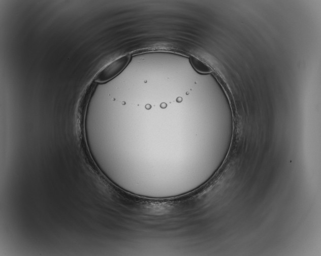 X0000089400835200706291406