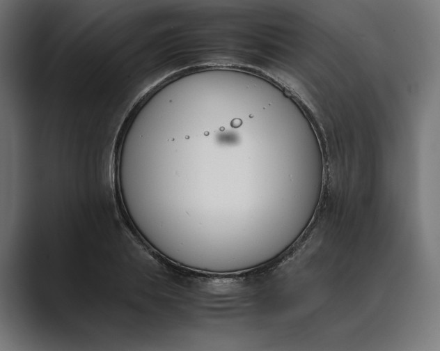 X0000089400839200706291406