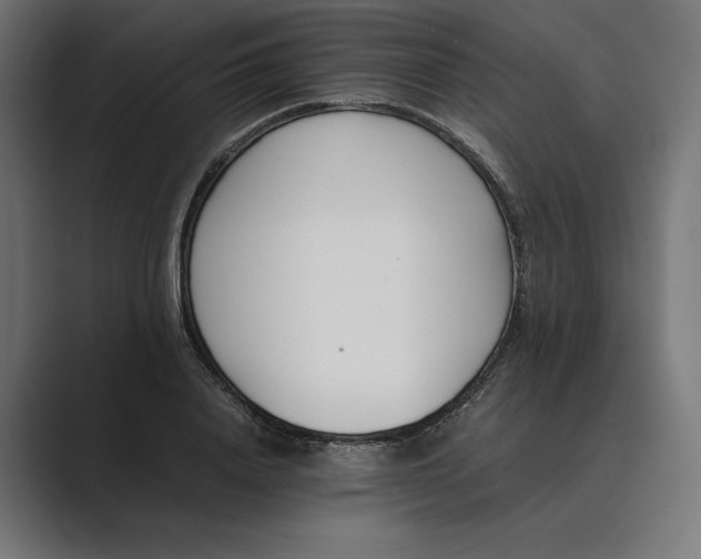 X0000089400840200706291406