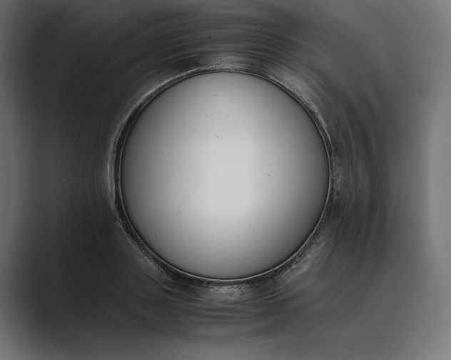 X0000089400843200706291406