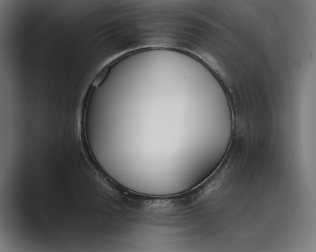 X0000089400846200706291406