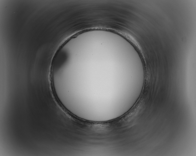 X0000089400847200706291406