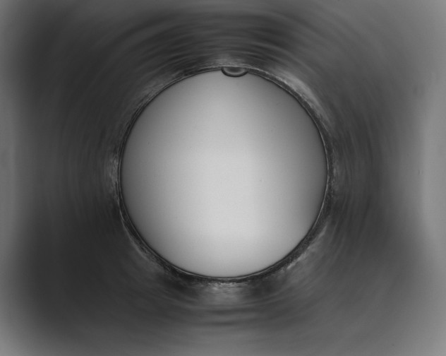 X0000089400849200706291406