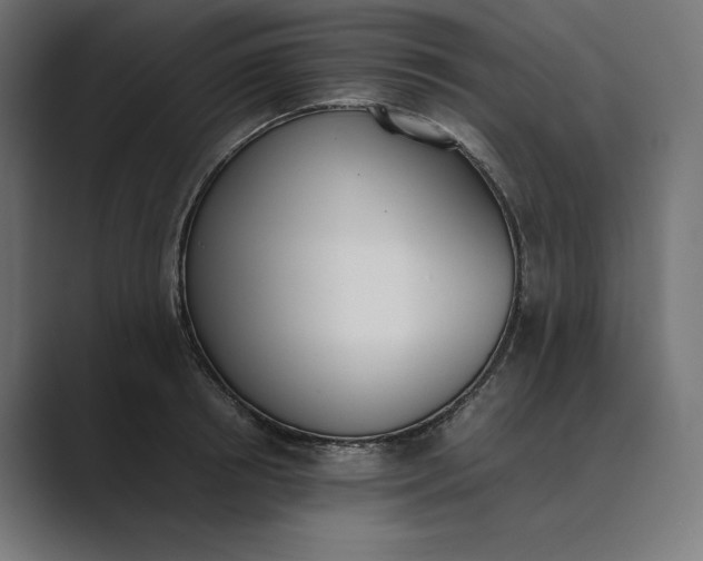 X0000089400850200706291406