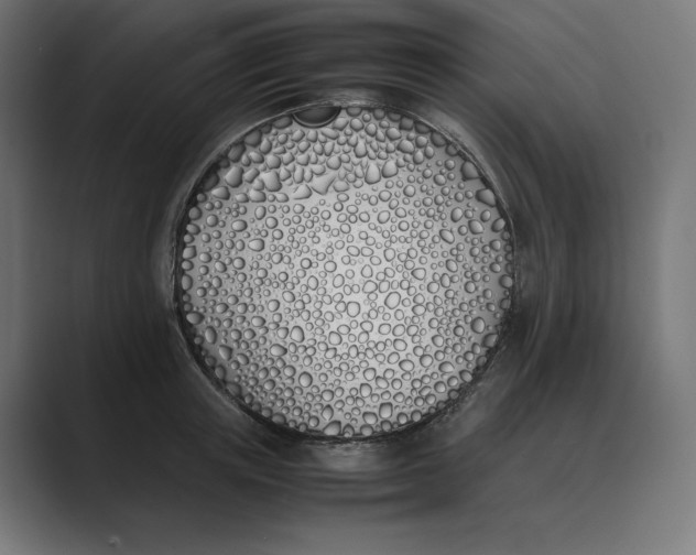 X0000089400851200706291406