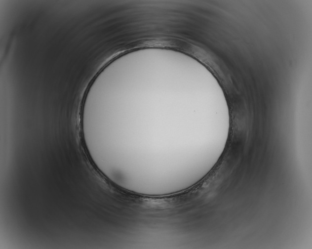 X0000089400852200706291406