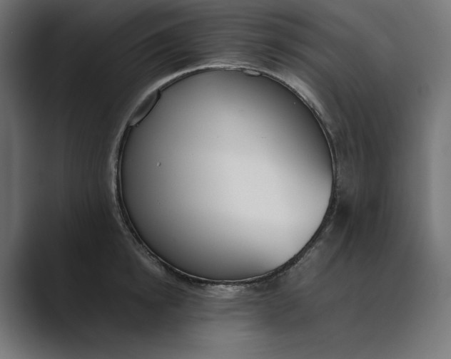 X0000089400854200706291406