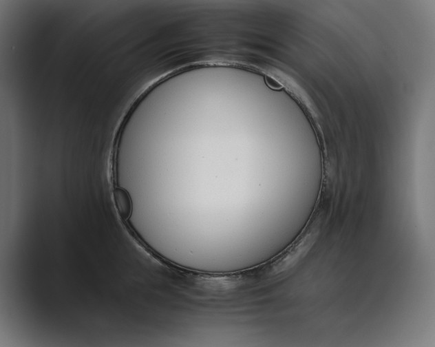 X0000089400855200706291406