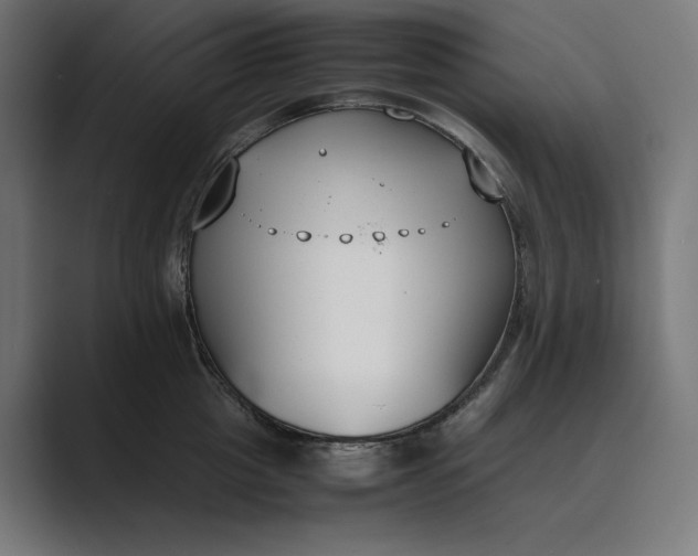 X0000089400857200706291406