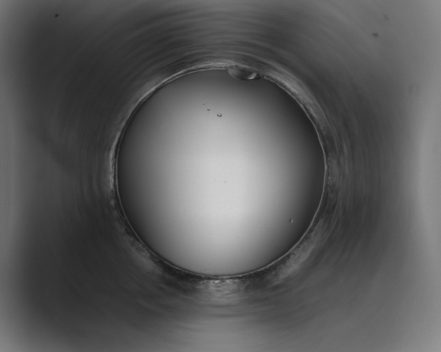 X0000089400858200706291406