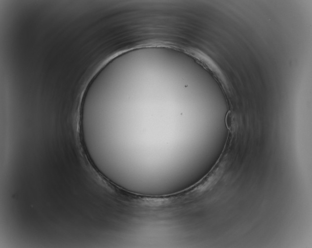 X0000089400860200706291406