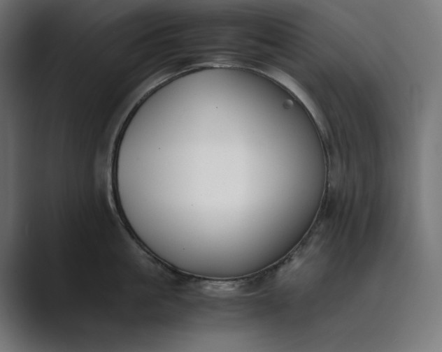 X0000089400861200706291406