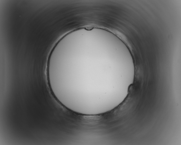 X0000089400863200706291406