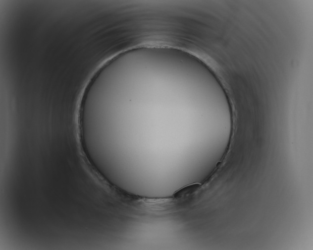 X0000089400864200706291406