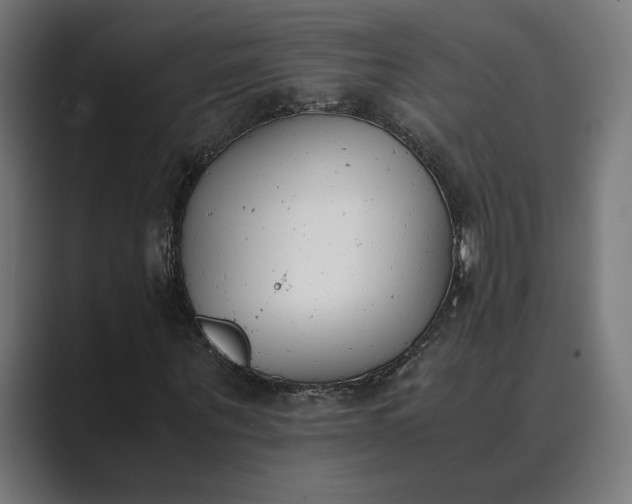 X0000089400867200706291405