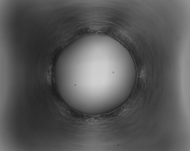 X0000089400868200706291405