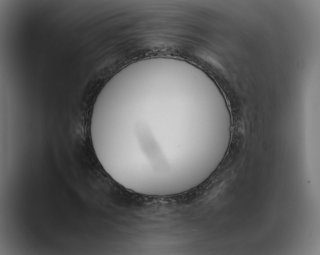 X0000089400869200706291405