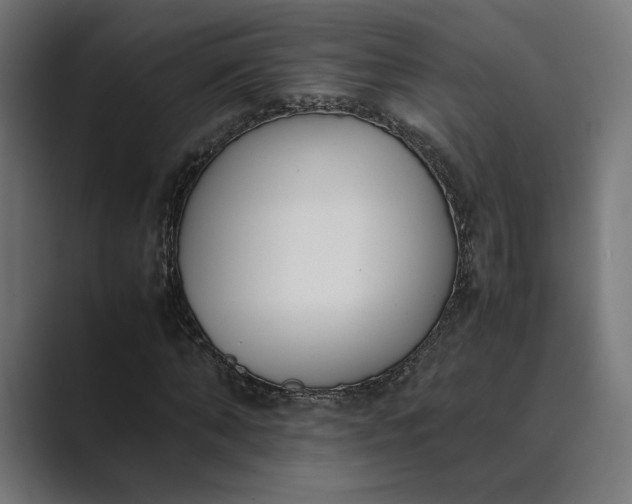 X0000089400870200706291405