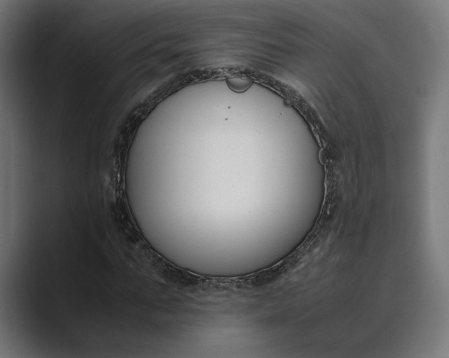 X0000089400871200706291405