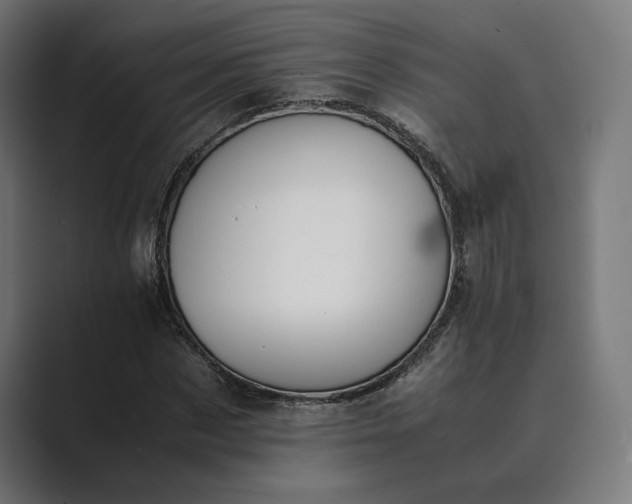 X0000089400873200706291405