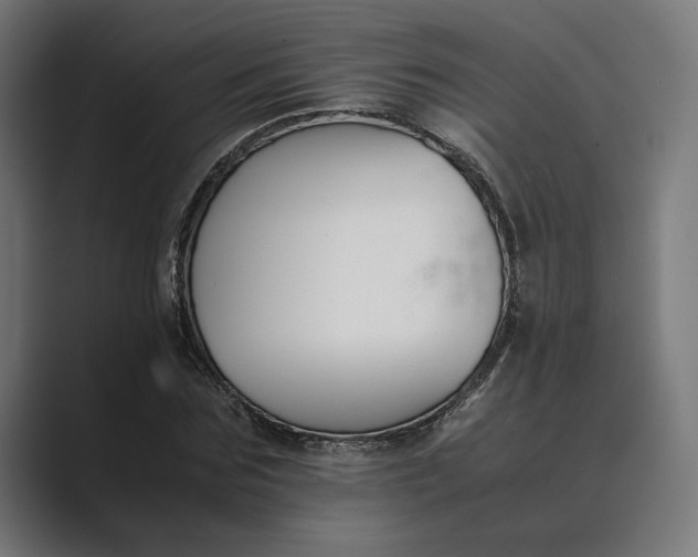 X0000089400875200706291405