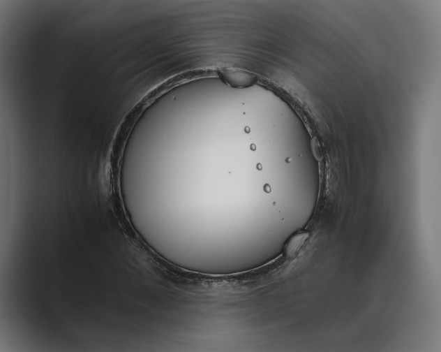 X0000089400876200706291405