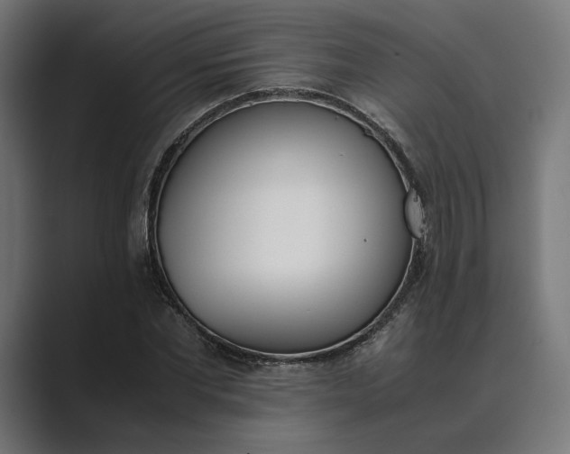 X0000089400877200706291405