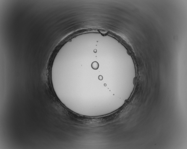 X0000089400879200706291405