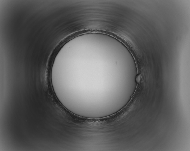 X0000089400880200706291405