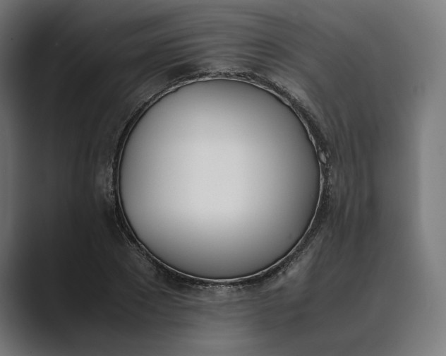 X0000089400881200706291405