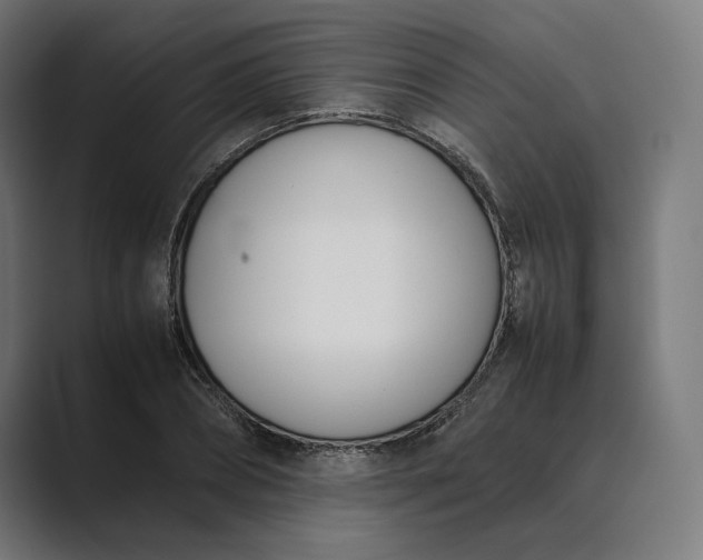 X0000089400882200706291405