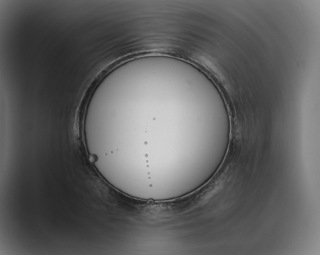 X0000089400883200706291405