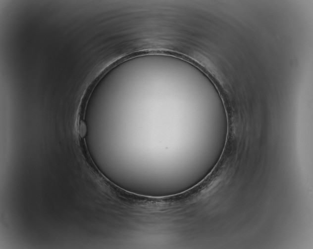 X0000089400885200706291405