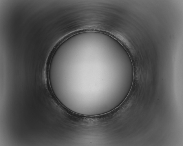 X0000089400888200706291405