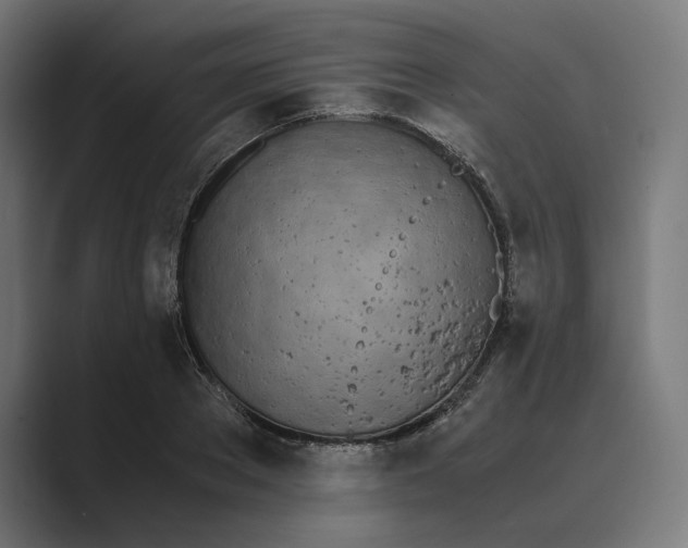 X0000089400889200706291405