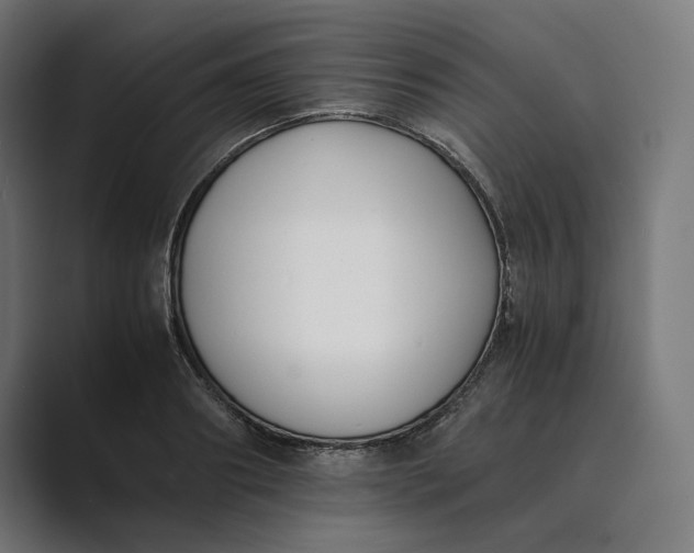 X0000089400890200706291405