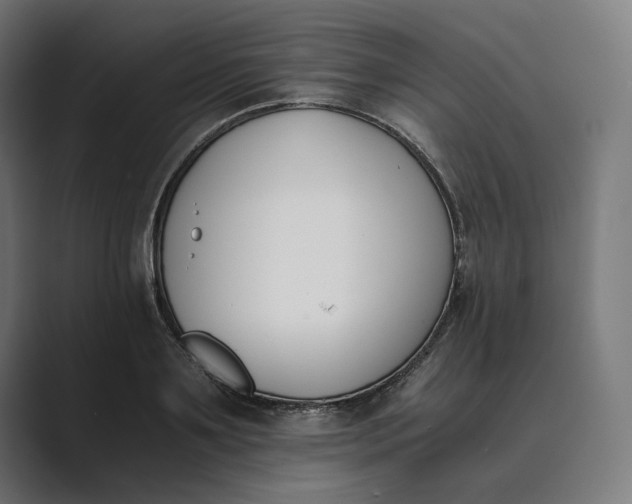 X0000089400891200706291405