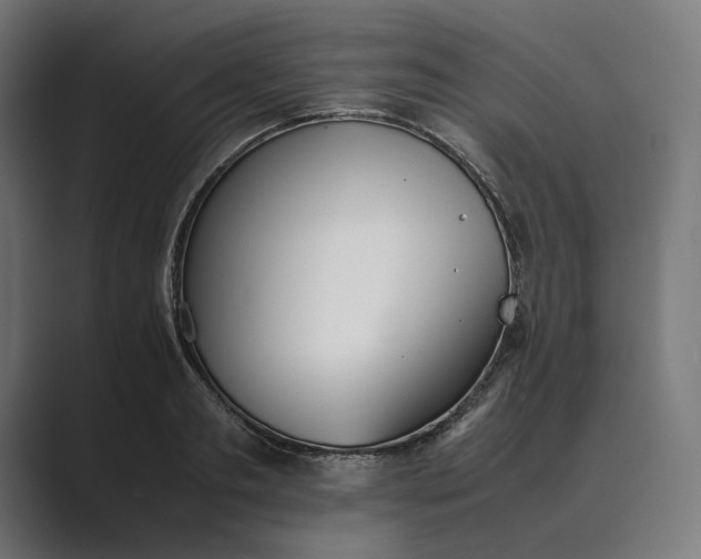 X0000089400893200706291405