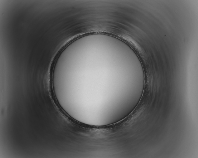 X0000089400894200706291405