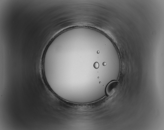 X0000089400895200706291405